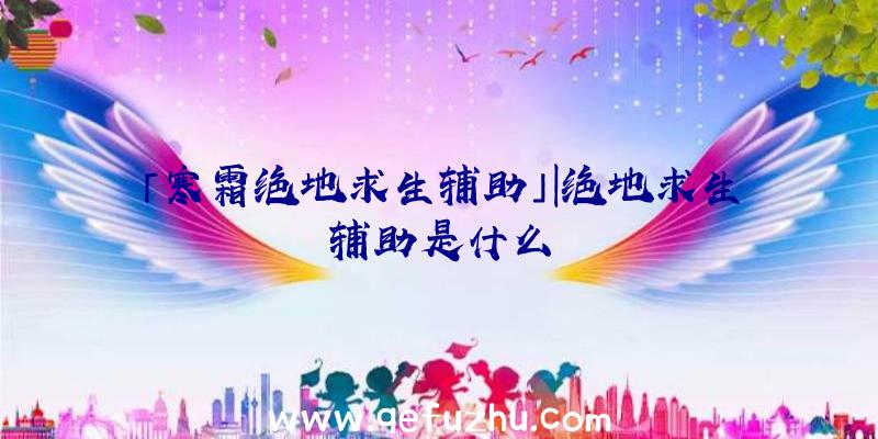 「寒霜绝地求生辅助」|绝地求生辅助是什么